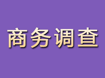 开鲁商务调查